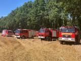 Einsatz #23  -B2- Waldbrand